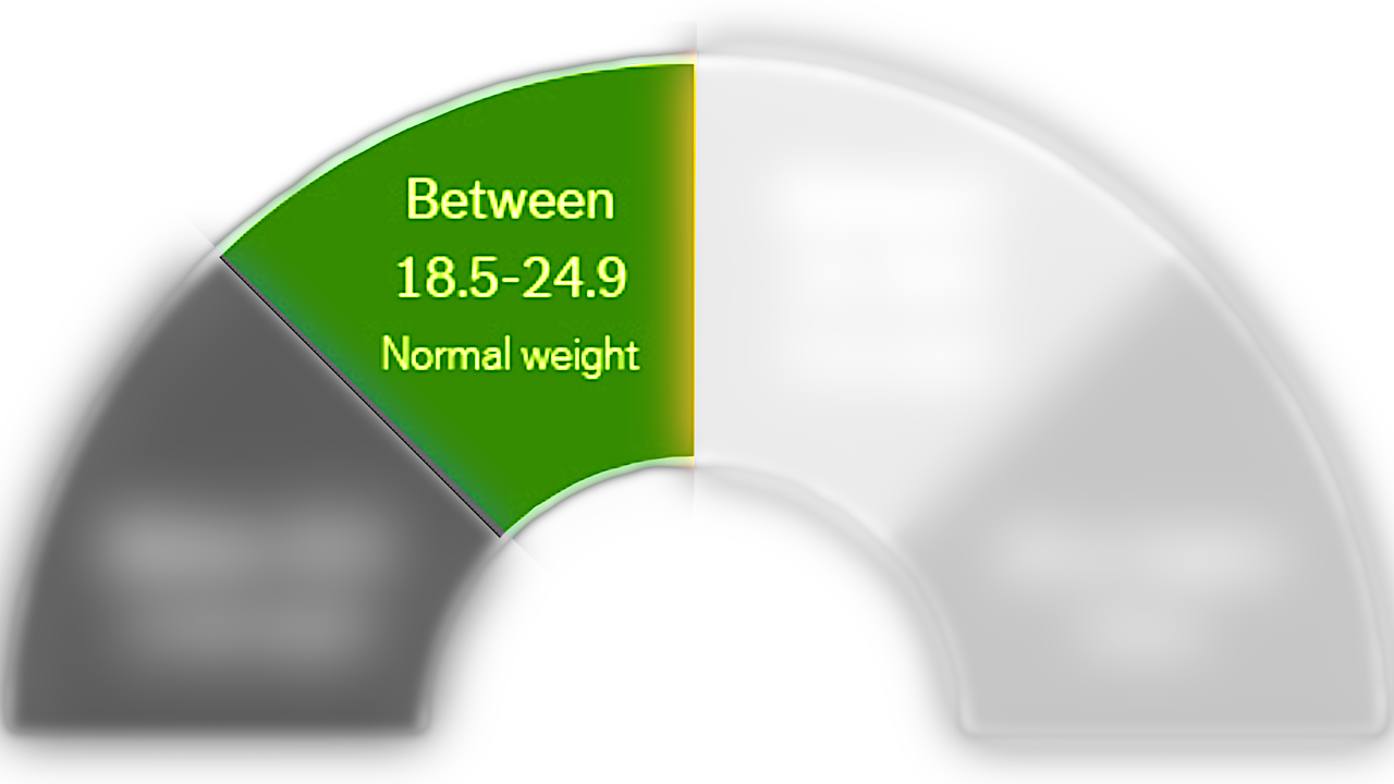 Healthy-weight BMI range 18.5 – 24.9