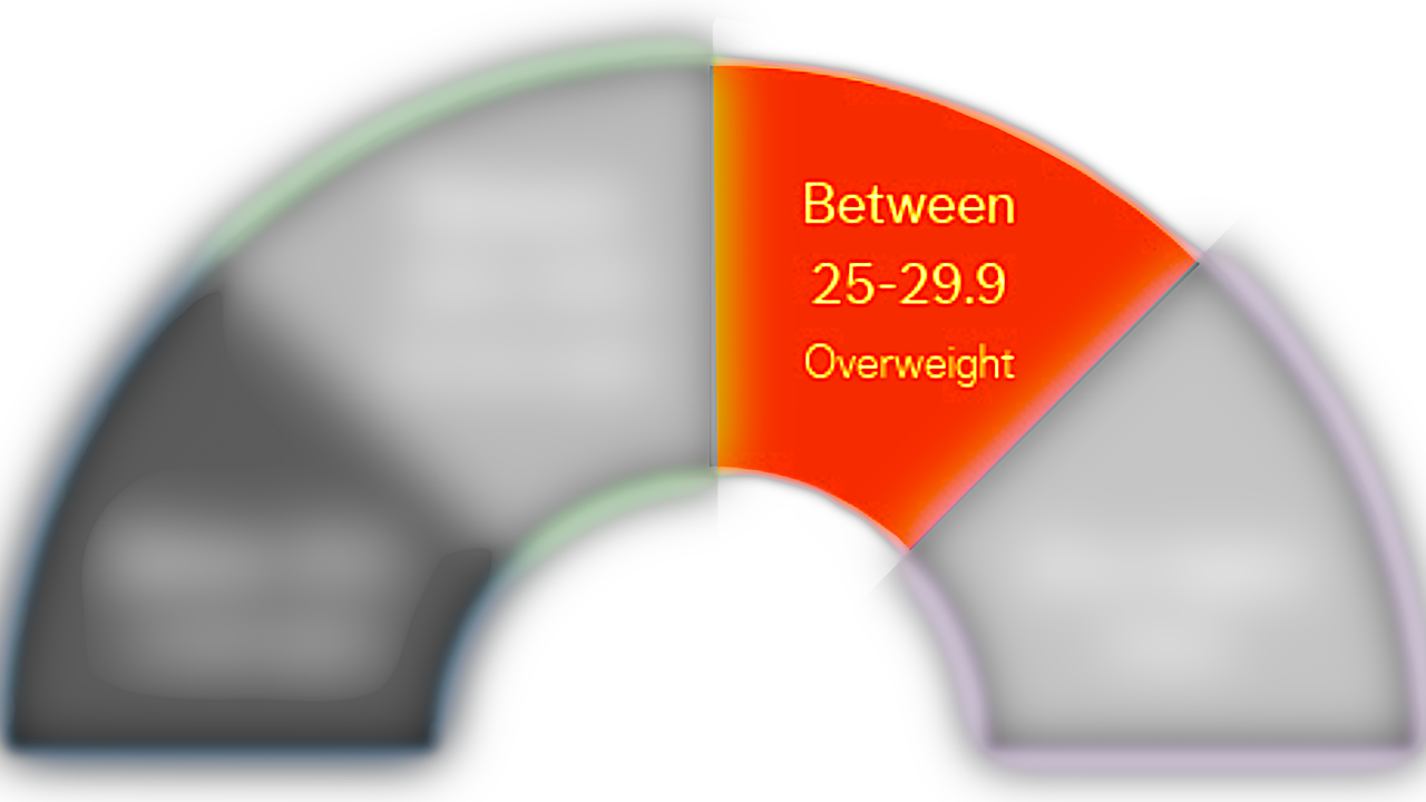 Over-weight BMI range 25.0 – 29.9