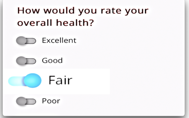 questionnaire03fair